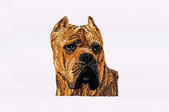 Brown Dog: An Embroidery Design Review for Business Merchandise