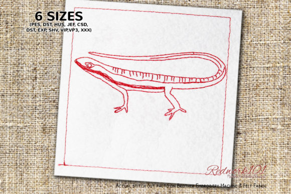 Long Tailed Lacertidae Redwork Review