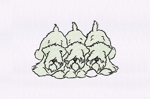 Triplets Shaggy Dogs
